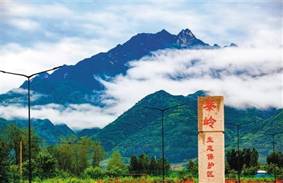 新规亮点解析 西安市秦岭生态环境保护条例7月1日起施行，聚焦生态材料管理