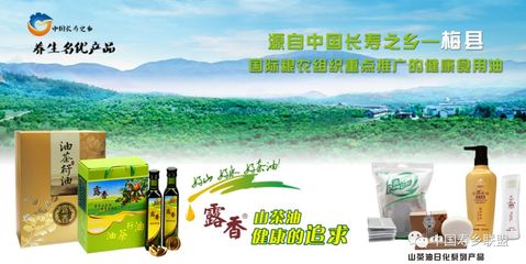 露香茶油籽油 中国长寿之乡的生态瑰宝与养生秘钥
